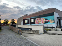 fragile-mural-leonkeer-3dstreetart-wrapped-violin-package