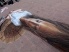 streetpainting-3d-mexico