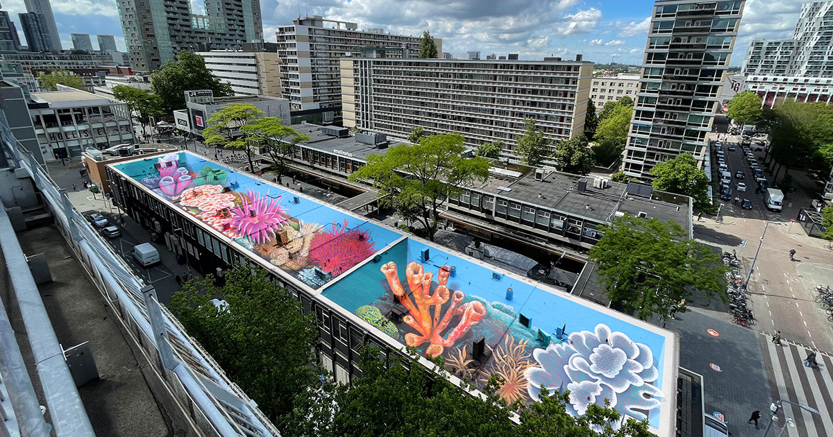 Leon Keer Rotterdamse dakendagen rooftopwalk