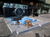 3d-street-art-Dubai