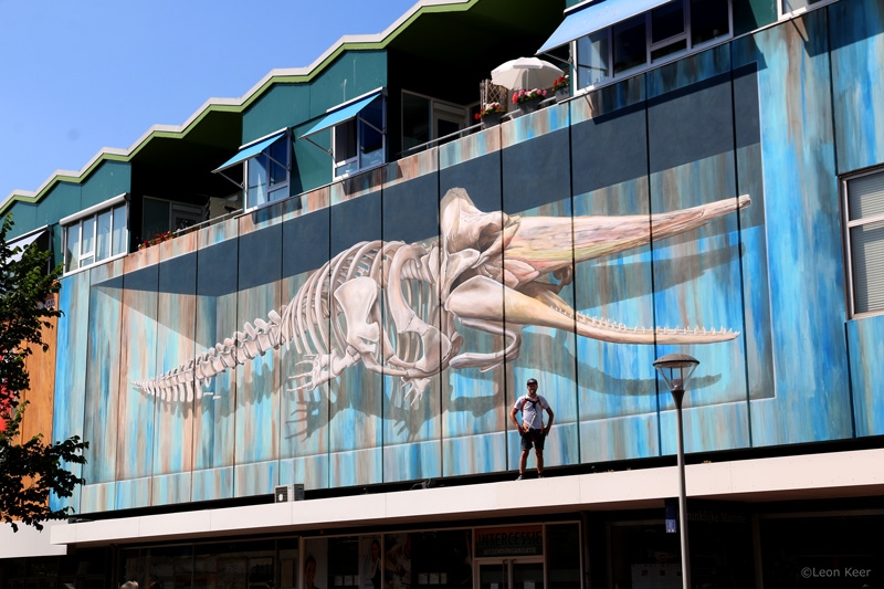 leonkeer-spermwhale-3d-streetart-mural