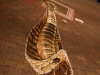 intratuin-3dstreetart