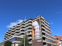 anamorphic-art-3d-mural-leonkeer-artstreethbg-muurschildering