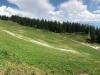 swiss-leonkeer-landart-offline