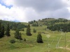 swiss-mountains-art-landart-grass