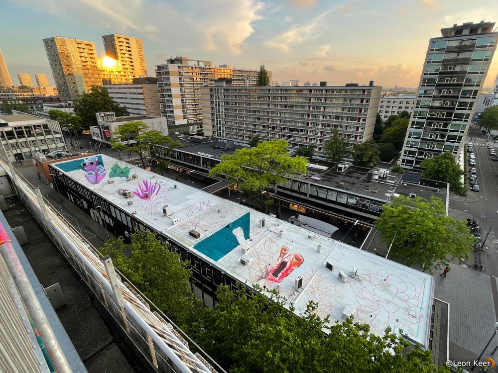 workinprogress-leonkeer-streetart-daken-dagen-rooftopwalk-rotterdam