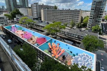 Leon Keer Rotterdamse dakendagen rooftopwalk